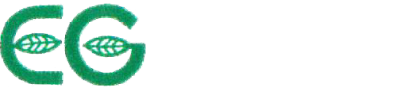 福岡市南区で一戸建て売却ができる企業 ＥＧ不動産　本店の写真