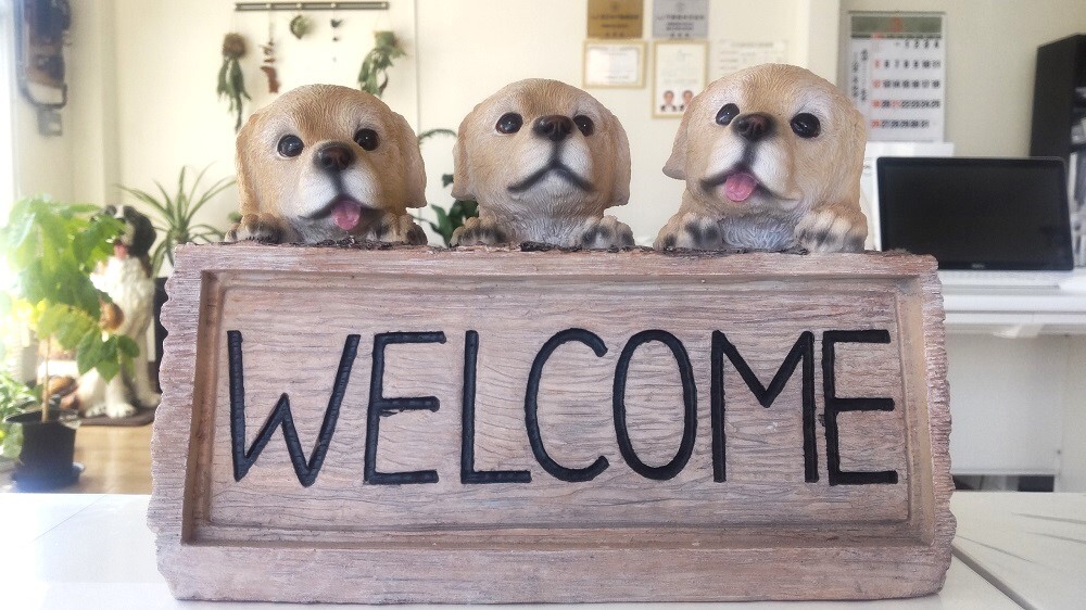 本庄市で不動産の売却ができる企業 MK不動産の写真サブ画像2