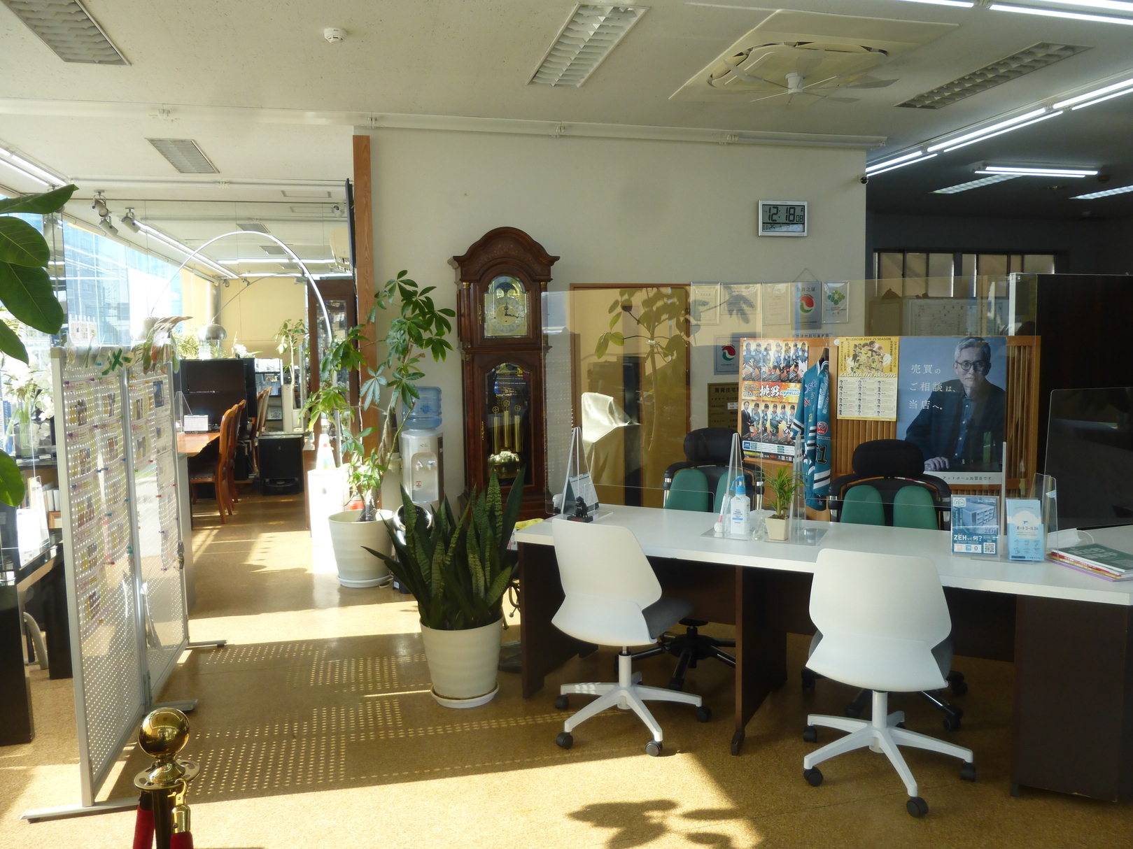 ハウシード　本店