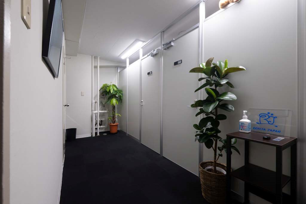  ＲＥＸＣＩＡ ＪＡＰＡＮ　本店の店舗写真2