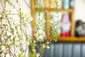 株式会社枝並不動産の店内の写真