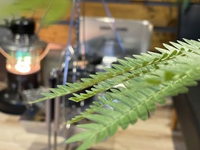 株式会社枝並不動産の店内の写真