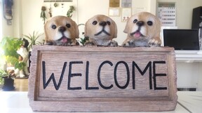 MK不動産株式会社の店舗内観1の写真