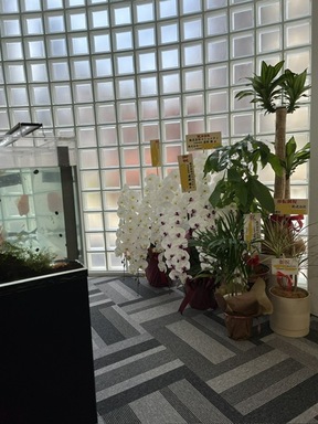 株式会社コミュニティの店舗内観の写真