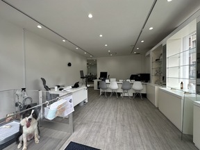 株式会社ＬｕｘｅＷｏｒｌｄ　本店の店舗の内観の写真