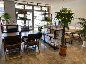 株式会社おひさまハウスの店舗内観の写真